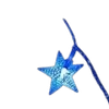 🌟