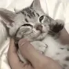 🥰