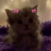 😊