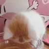 🍽