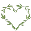 💚