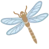 🦋