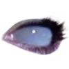 👁