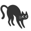 🐈‍⬛