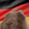 🇩🇪