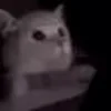😖