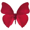 🦋