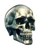 ☠