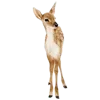 🦌