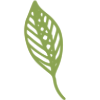 🌿