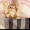 😴