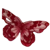 🦋