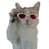 😎