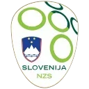 🇸🇮