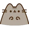 🐱