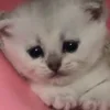 😐