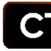 🟠