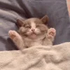 🛌