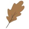 🍂
