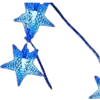🌟