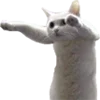🐱