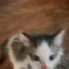 😊