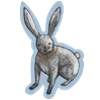 🐇