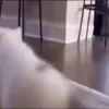 🕺