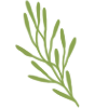 🌿
