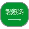 🇸🇦