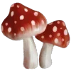 🍄