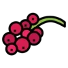 🍇