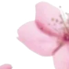 ⭐