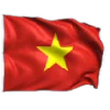 🇻🇳