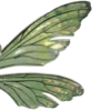 🦋