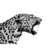 🐅