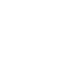 👤