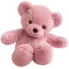 🐻