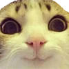 🙂