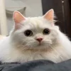 👀