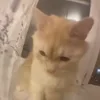 😠