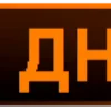 🟠