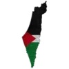 🇵🇸