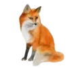 🦊