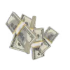 💸