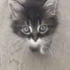 😇