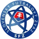 🇸🇰