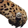 🐆
