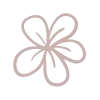 🌺