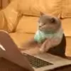 💻